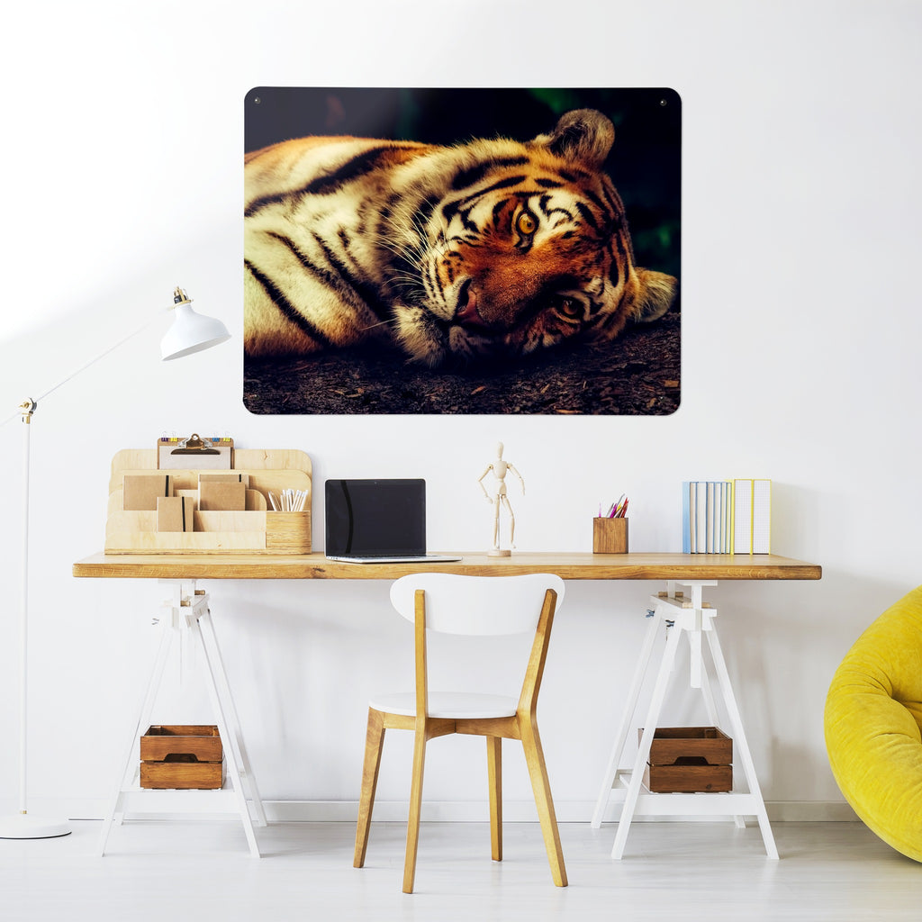 Tiger magnetic notice board above a desk in a home office