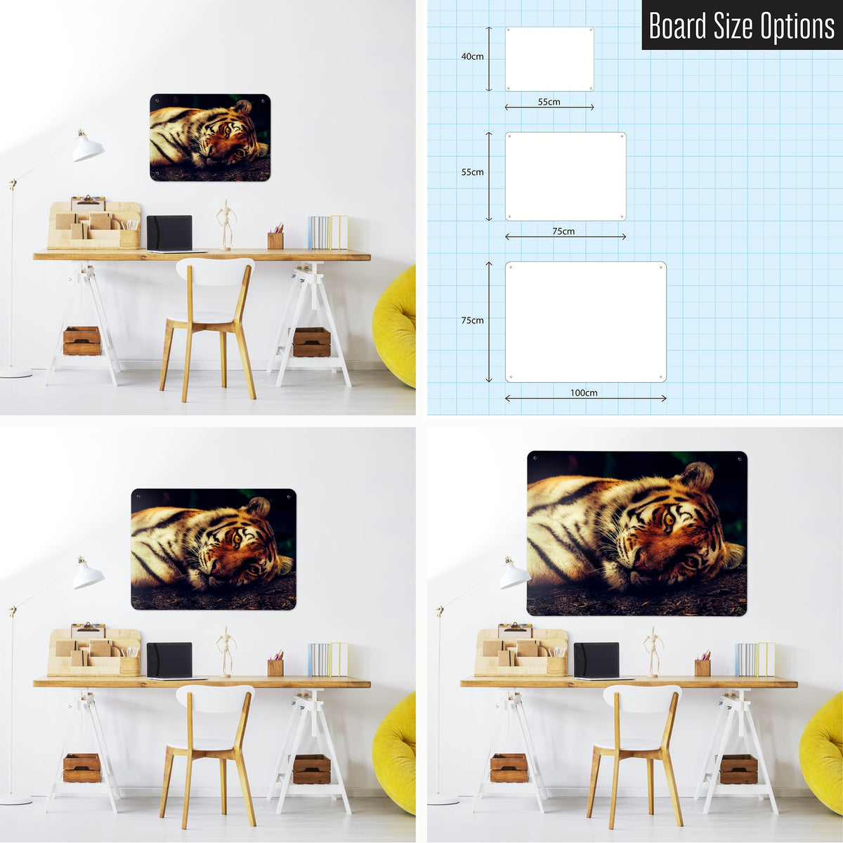 Tiger magnetic notice board shown in small, medium and large, with the measurements of each