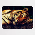 Tiger magnetic notice board, small size, 55 × 40 cm