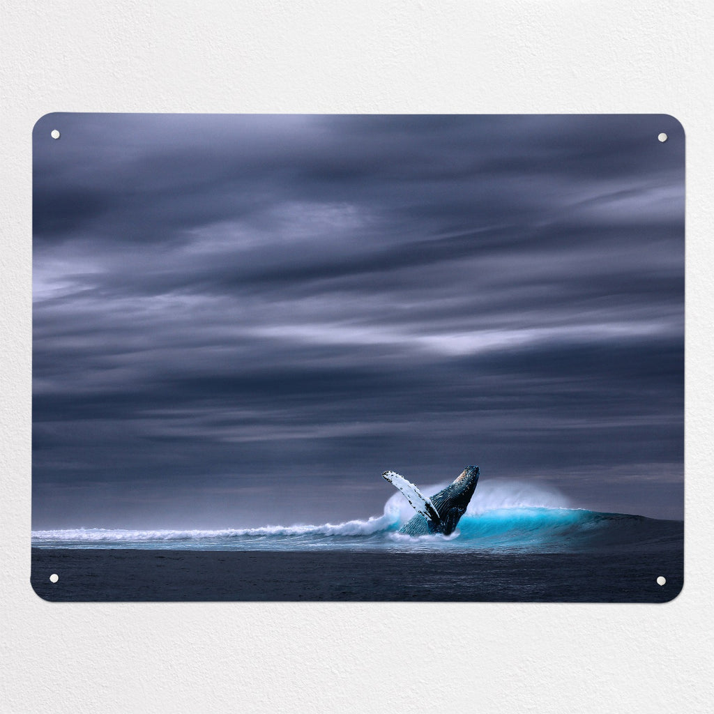 Whale magnetic notice board, large size, 100 × 75 cm