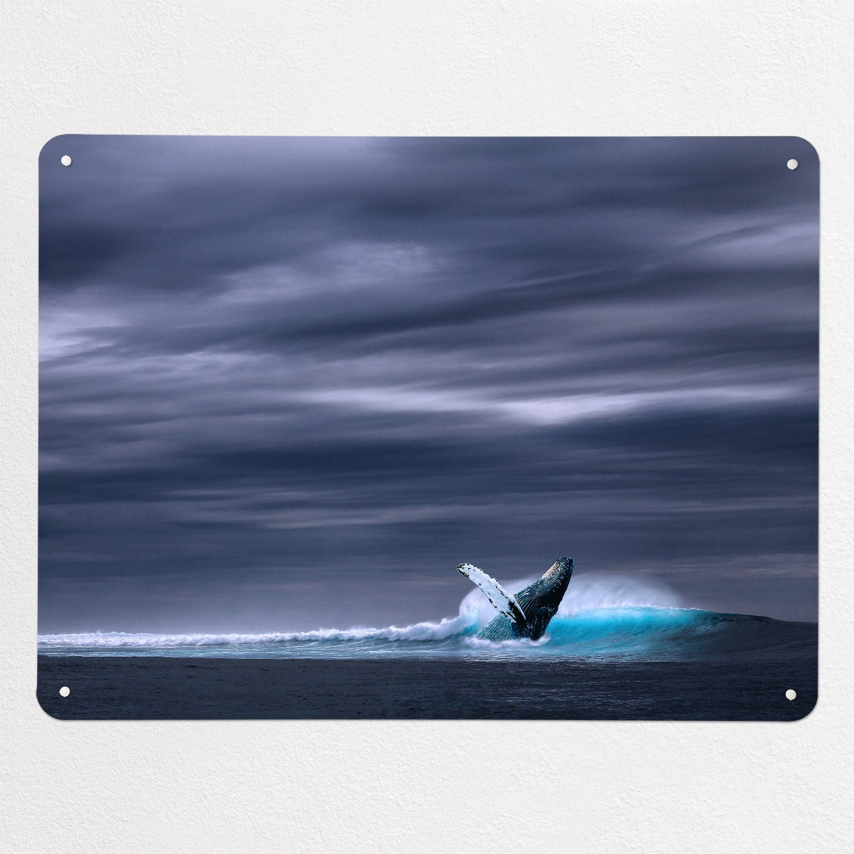 Whale magnetic notice board, large size, 100 × 75 cm