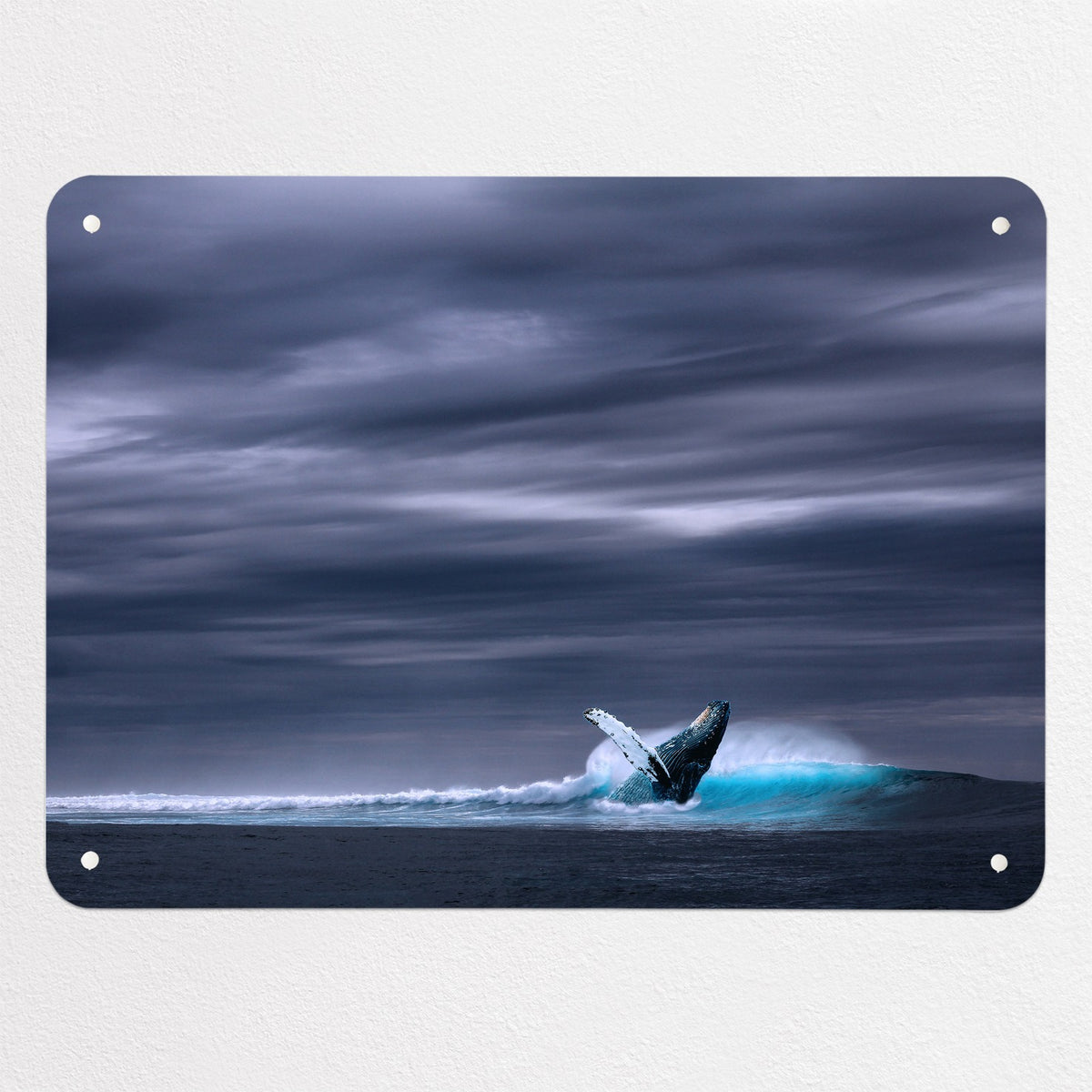 Whale magnetic notice board, medium size, 75 × 55 cm