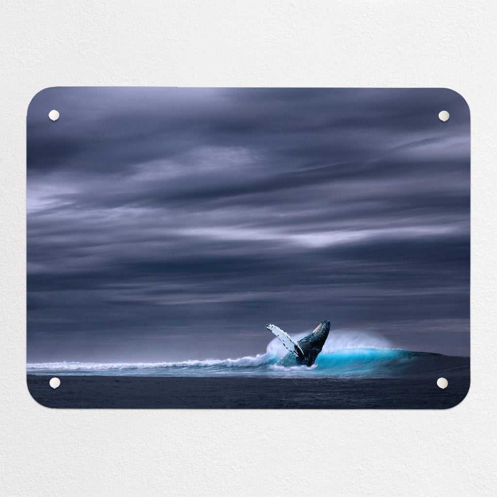 Whale magnetic notice board, small size, 55 × 40 cm