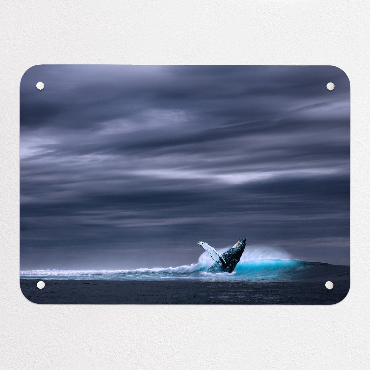 Whale magnetic notice board, small size, 55 × 40 cm