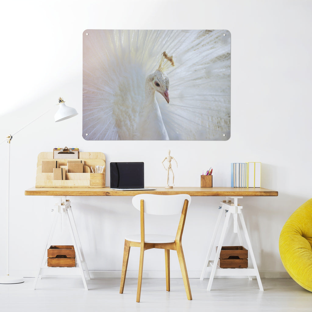 White Peacock magnetic notice board above a desk in a home office