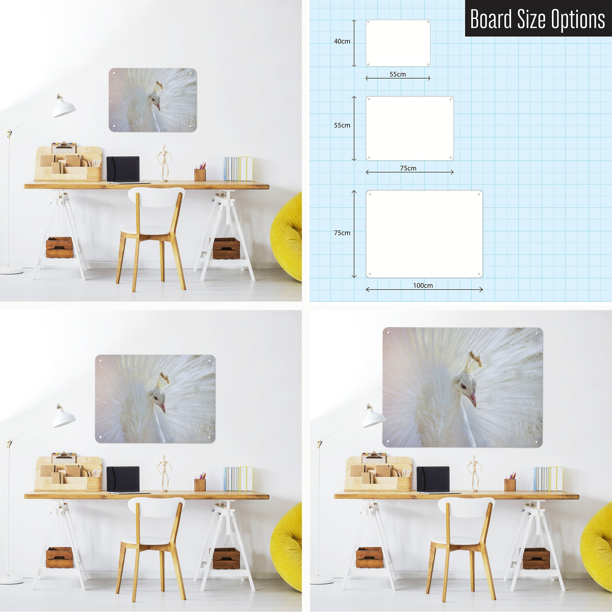White Peacock magnetic notice board shown in small, medium and large, with the measurements of each