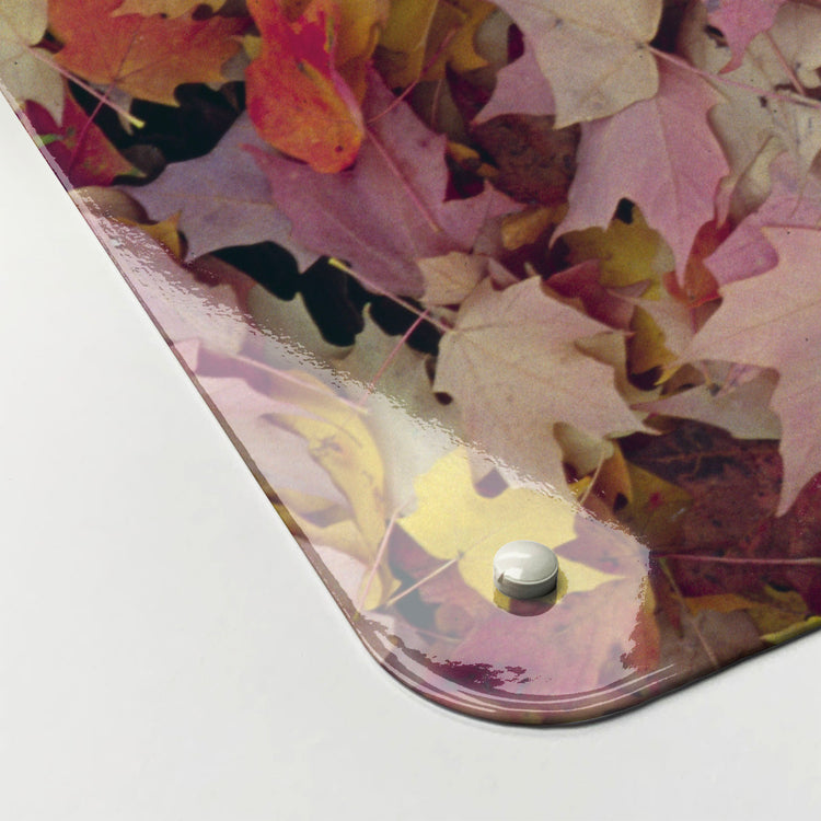The corner detail of an autumn leaves photographic magnetic board to show it’s high gloss surface