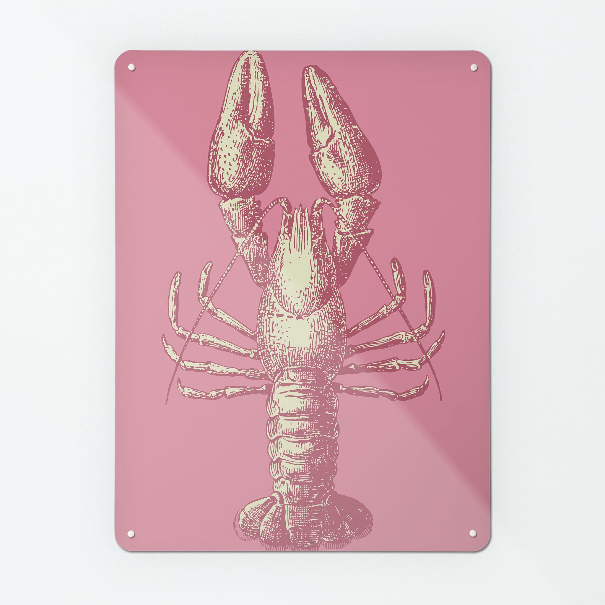 A large magnetic notice board by Beyond the Fridge with an image of a lobster illustration on an pink background