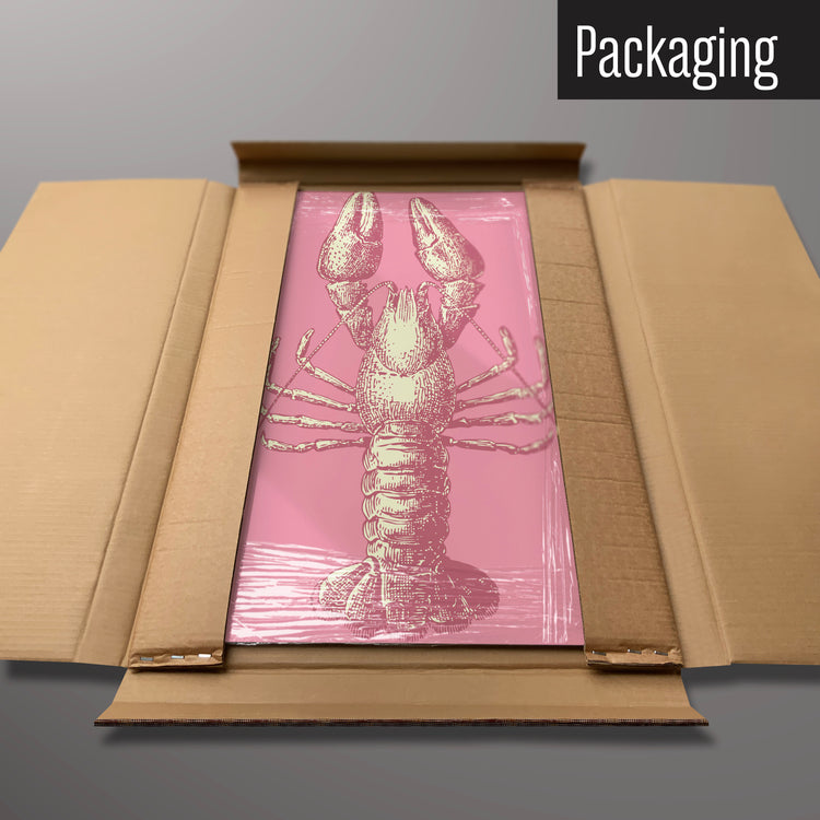 A lobster illustration magnetic board in it’s cardboard packaging