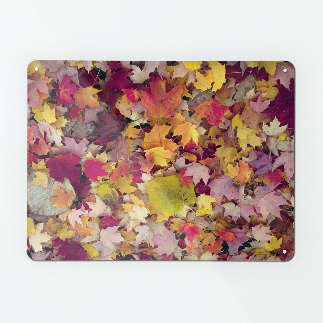 A large magnetic notice board by Beyond the Fridge with an image of a variety of autumn leaves