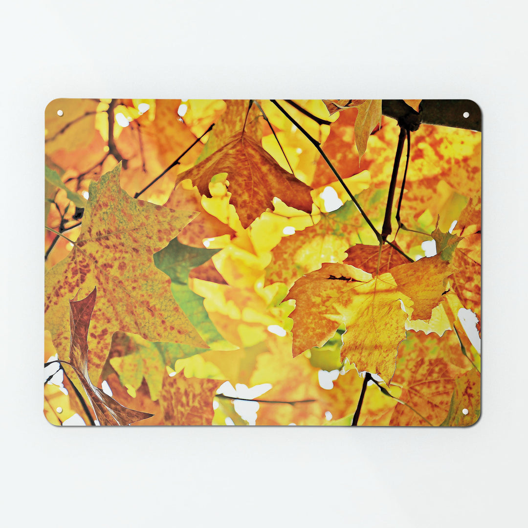 A large magnetic notice board by Beyond the Fridge with an image of an autumn tree with yellow leaves