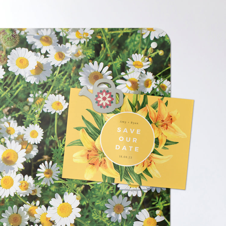 A postcard on a daisies photographic magnetic board or metal wall art panel