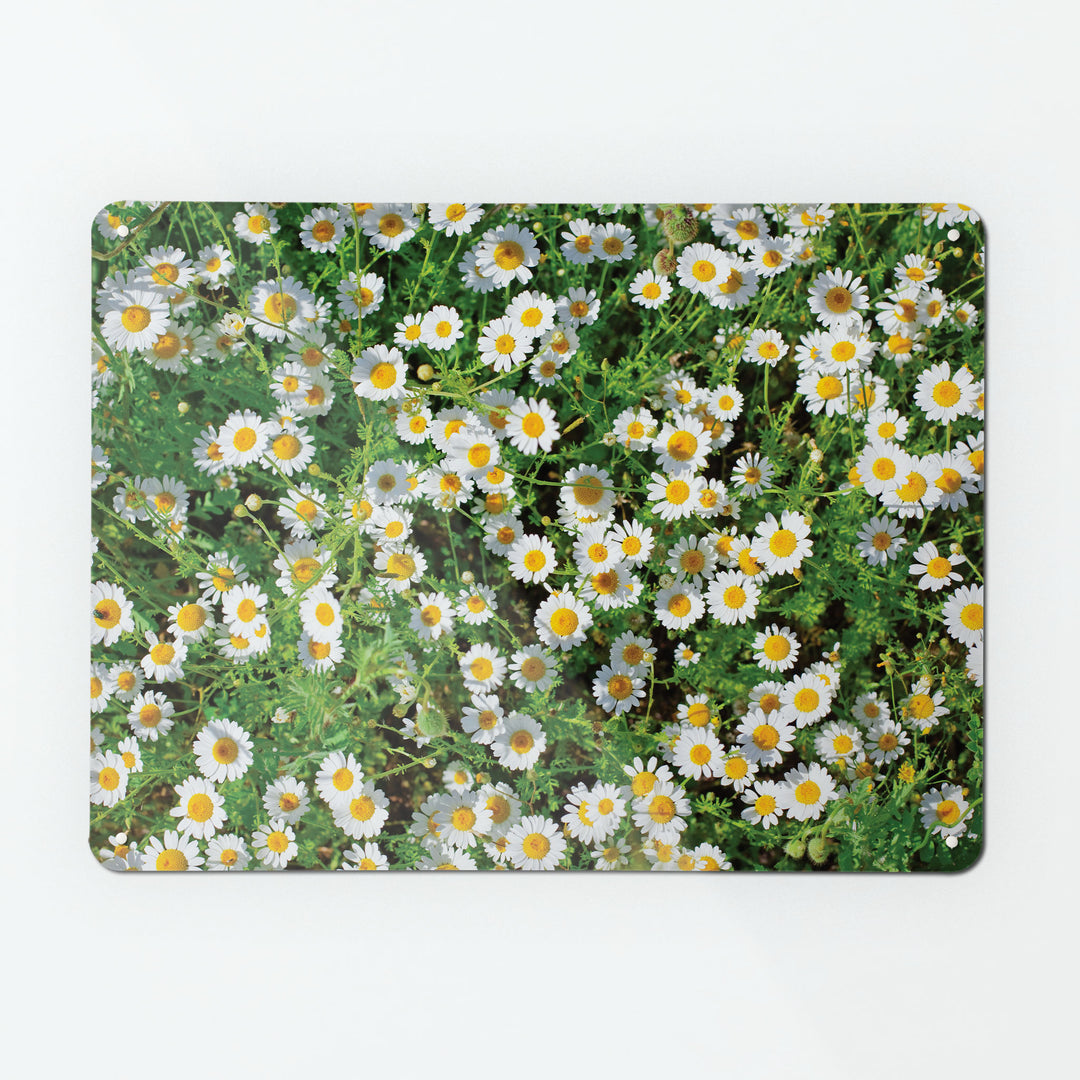 A large magnetic notice board by Beyond the Fridge with a photograph of a lawn full of daisies