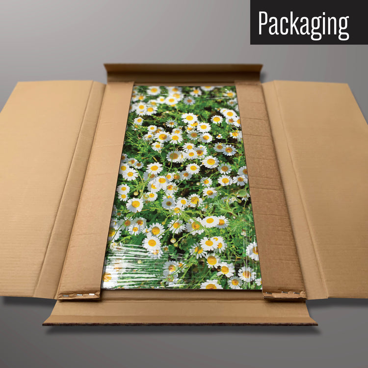 A daisies photographic magnetic board in it’s cardboard packaging