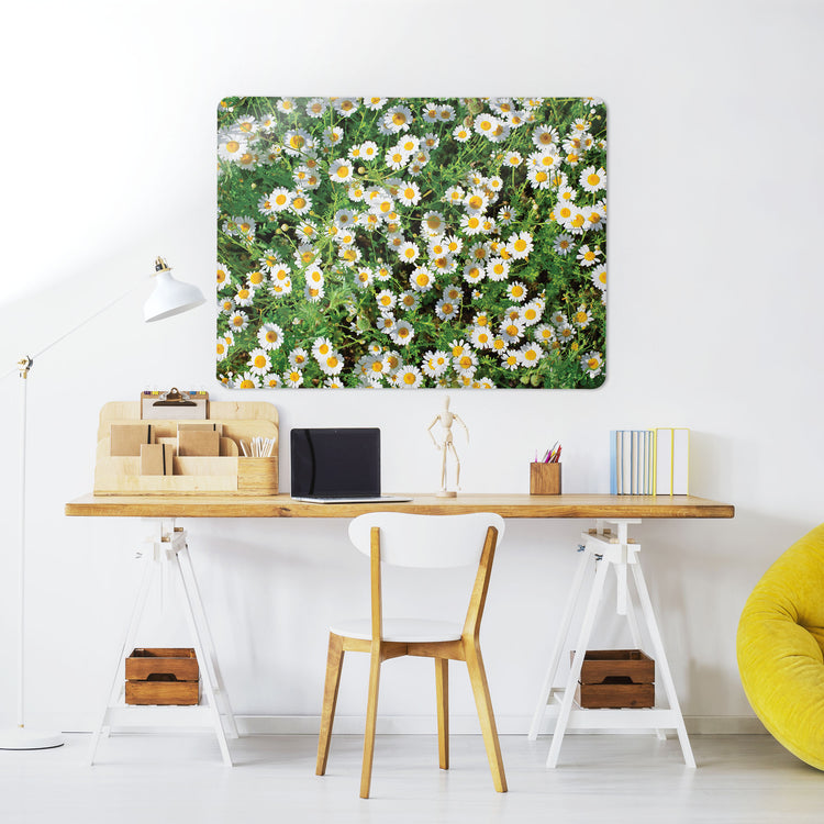 A desk in a workspace setting in a white interior with a magnetic metal wall art panel showing a photograph of a lawn full of daisies