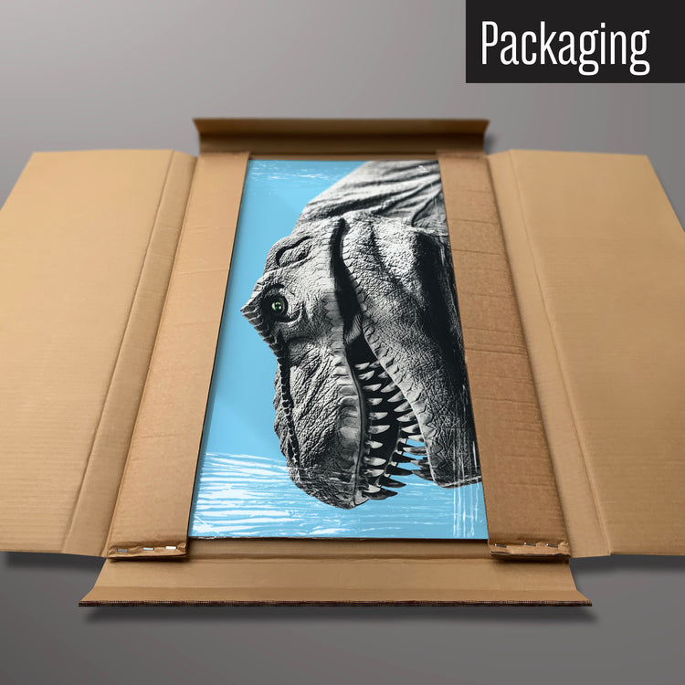 A dinosaur blue design magnetic board in it’s cardboard packaging