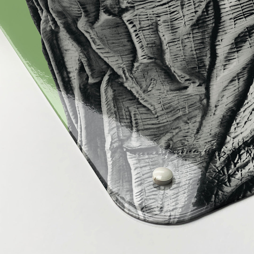 The corner detail of a dinosaur on green magnetic board to show it’s high gloss surface