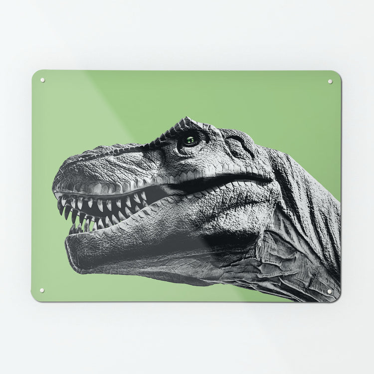 A large magnetic notice board by Beyond the Fridge with an image of a black and white tyrannosaurus rex dinosaur on a green background