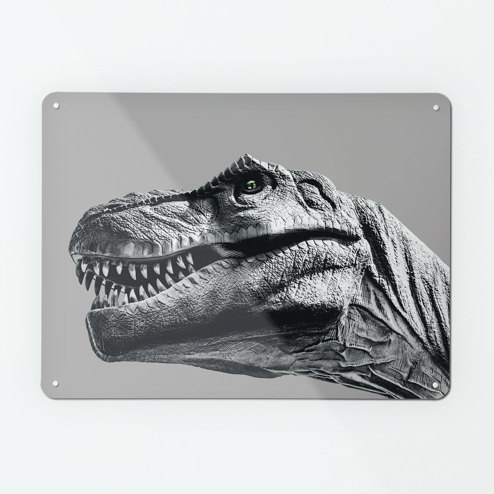 A large magnetic notice board by Beyond the Fridge with an image of a black and white tyrannosaurus rex dinosaur on a grey background