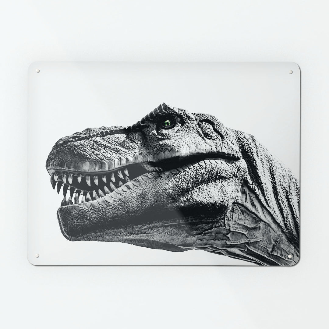 A large magnetic notice board by Beyond the Fridge with an image of a black and white tyrannosaurus rex dinosaur on a white background