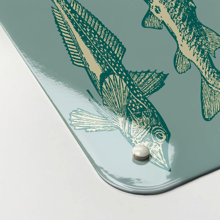 The corner detail of a fish illustration magnetic board to show it’s high gloss surface
