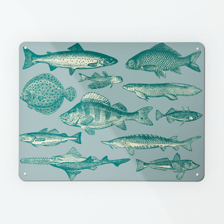 A large magnetic notice board by Beyond the Fridge with an image of illustrated fishes on a blue background