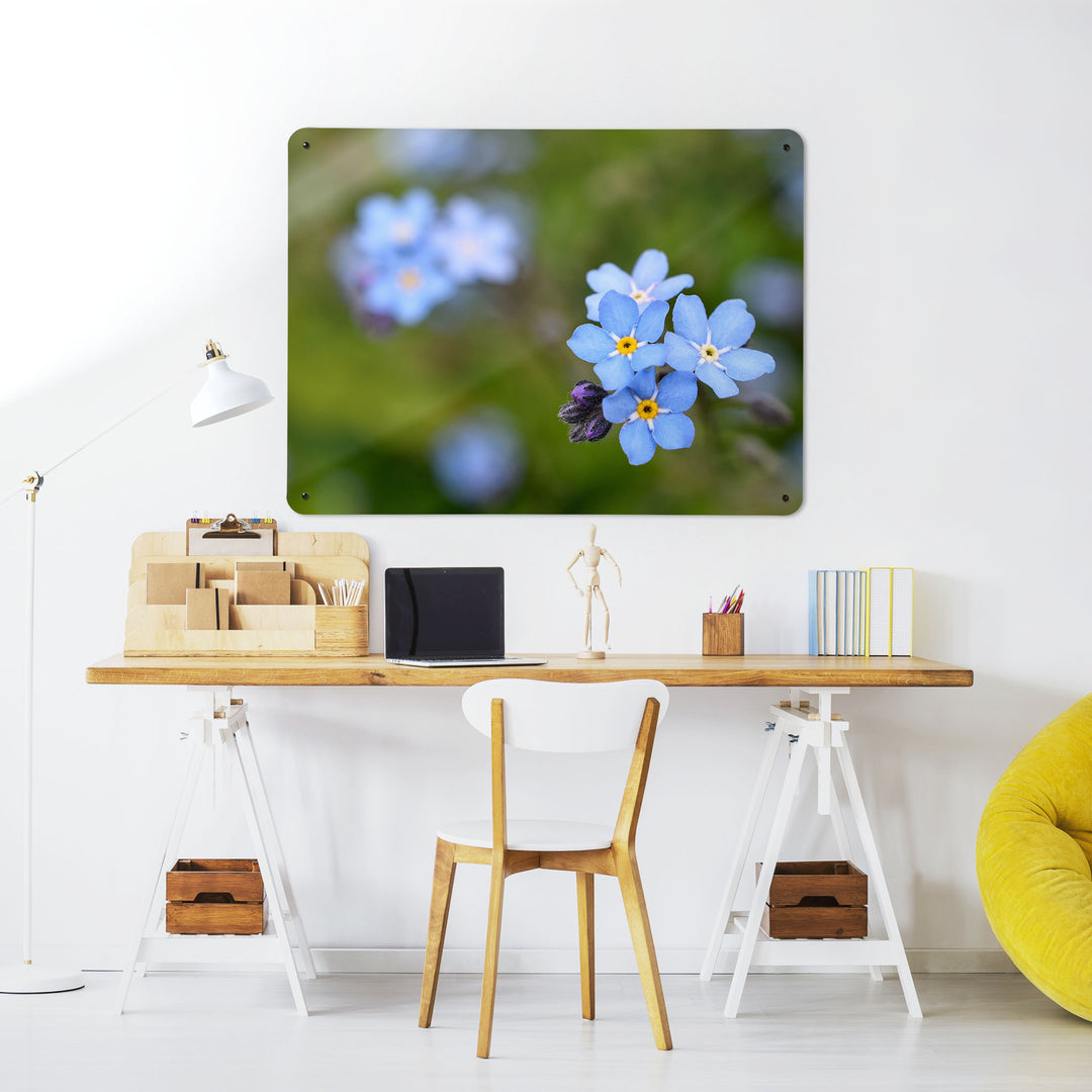A desk in a workspace setting in a white interior with a magnetic metal wall art panel with a photograph of blue forget me not flowers