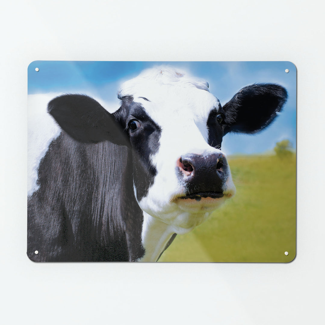 A large magnetic notice board by Beyond the Fridge with an image of a Friesian Cow in a field 