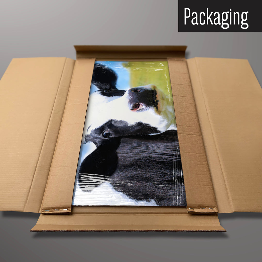 A friesian cow magnetic board in it’s cardboard packaging