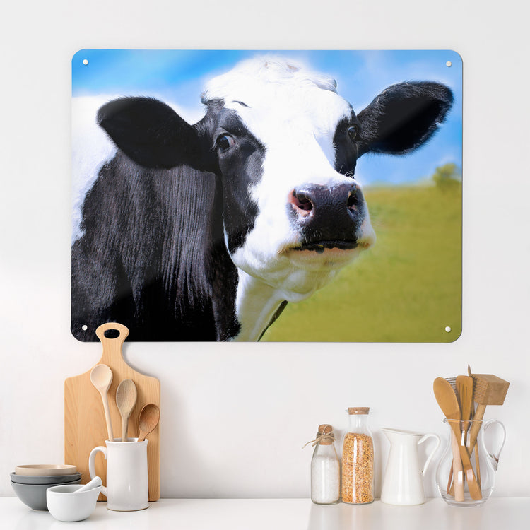 A desk in a workspace setting in a white interior with a magnetic metal wall art panel showing a photograph of a friesian cow in a field