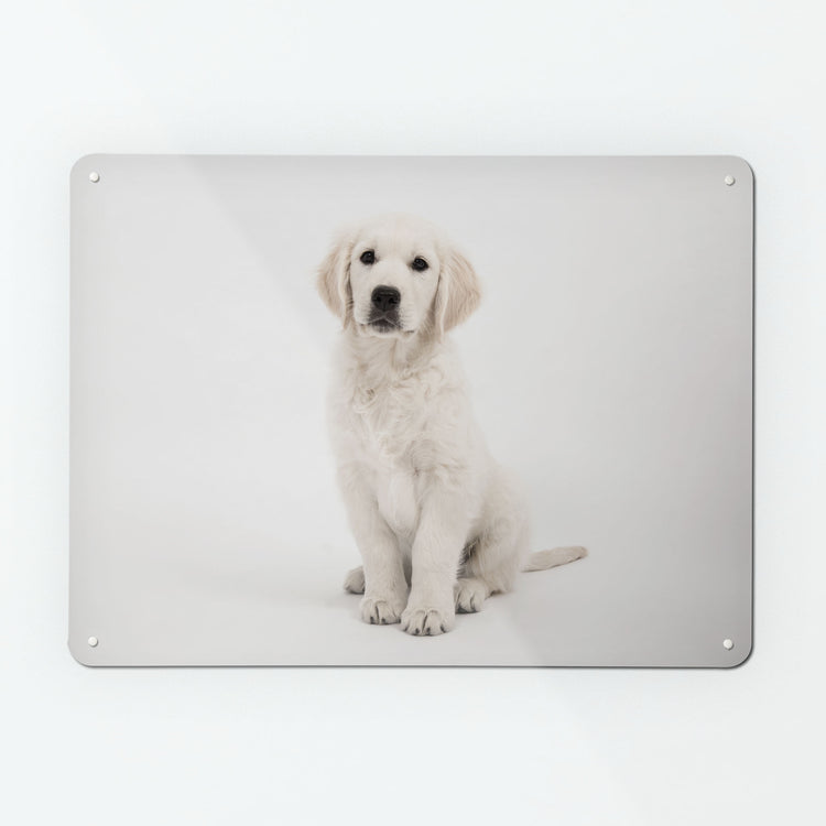 A large magnetic notice board by Beyond the Fridge with a photograph of a golden retriever puppy