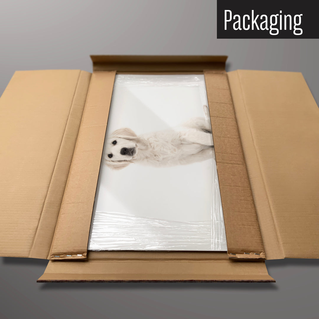 A golden retriever puppy photographic magnetic board in it’s cardboard packaging
