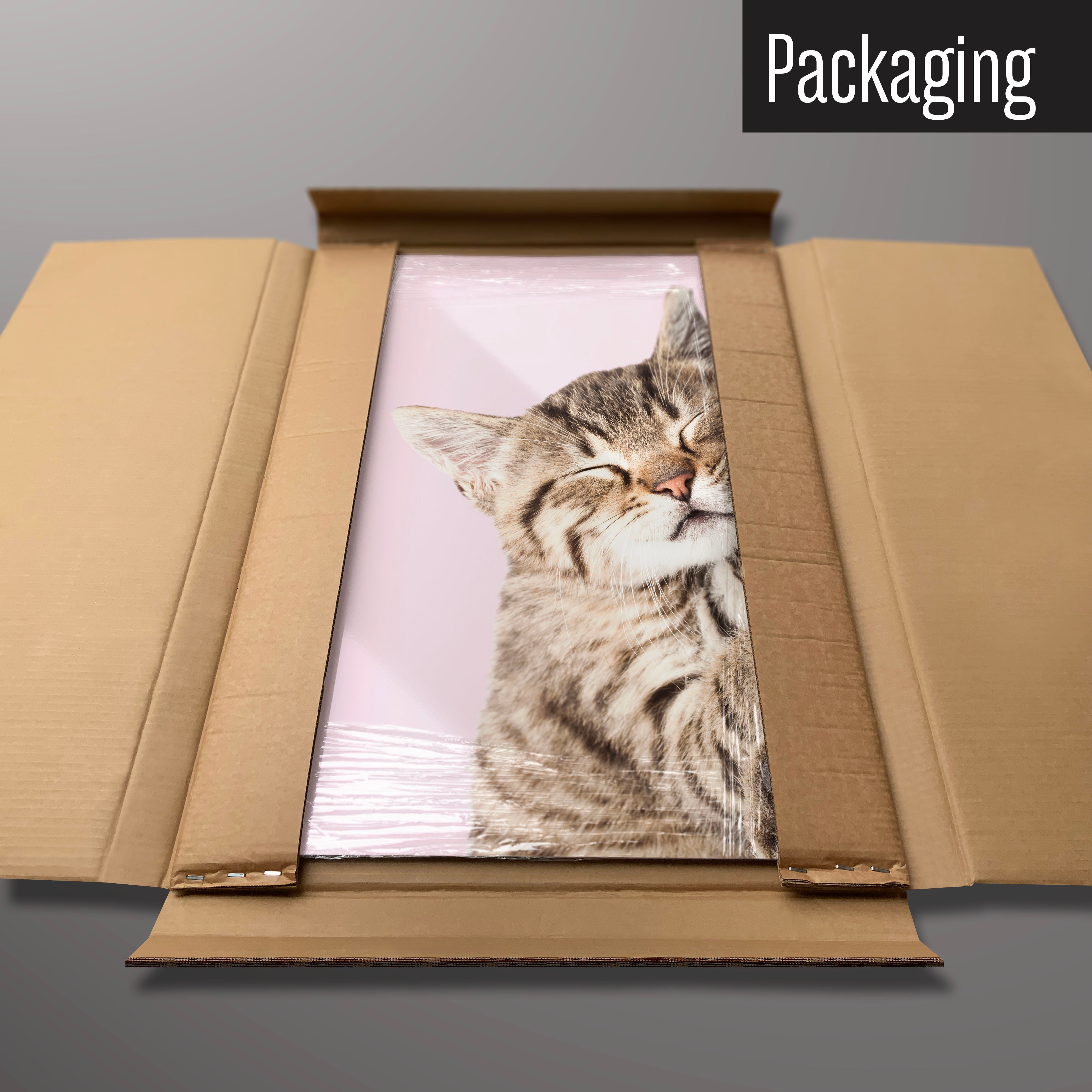 A tabby kitten magnetic board in it’s cardboard packaging