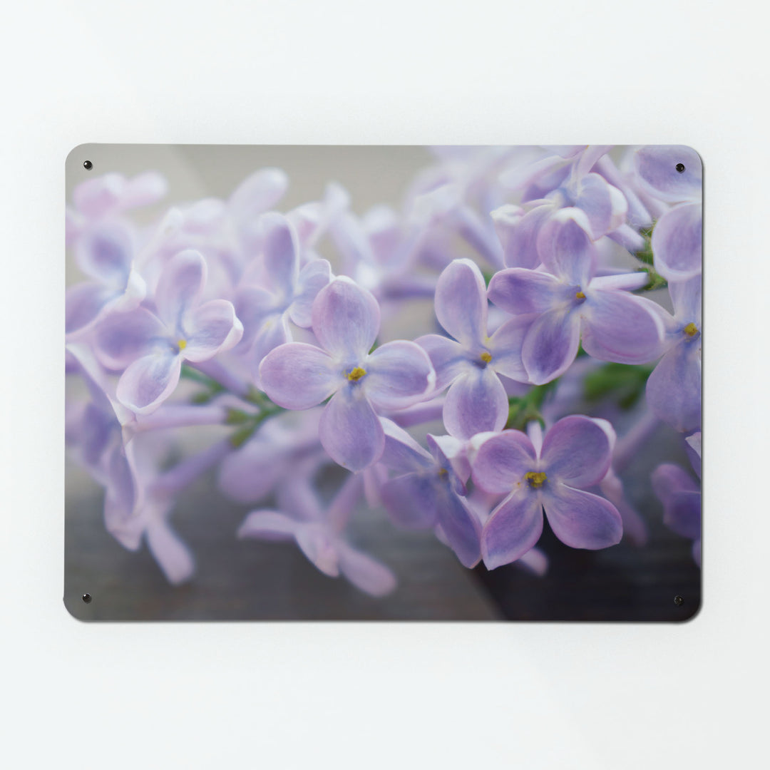 A large magnetic notice board by Beyond the Fridge with a photograph of lilac flowers