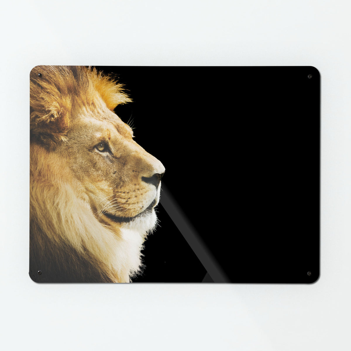 A large magnetic notice board by Beyond the Fridge with a photograph of the head of a lion in profile with a black background