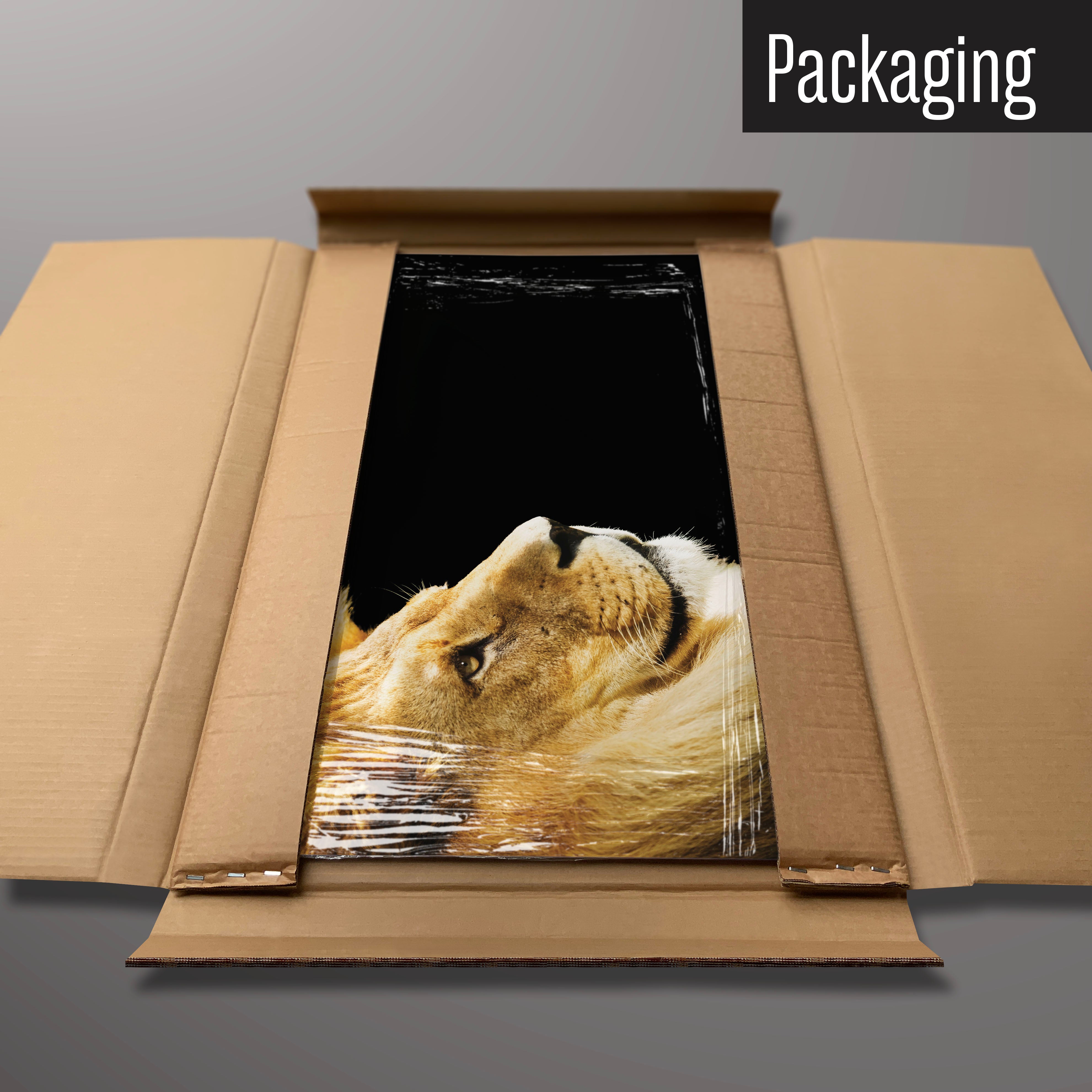 A lion magnetic board in it’s cardboard packaging