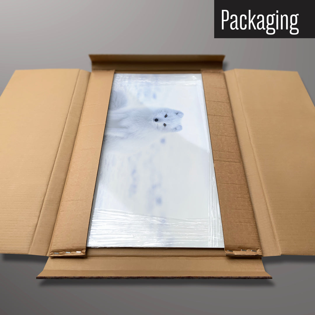 An artic fox photographic magnetic board in it’s cardboard packaging