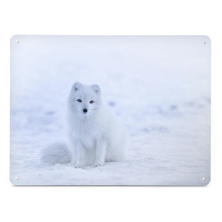 A large magnetic notice board by Beyond the Fridge with a photograph of an artic fox in the snow