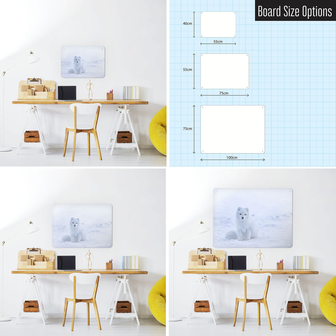 Three photographs of a workspace interior and a diagram to show size comparisons of an artic fox photographic magnetic notice board