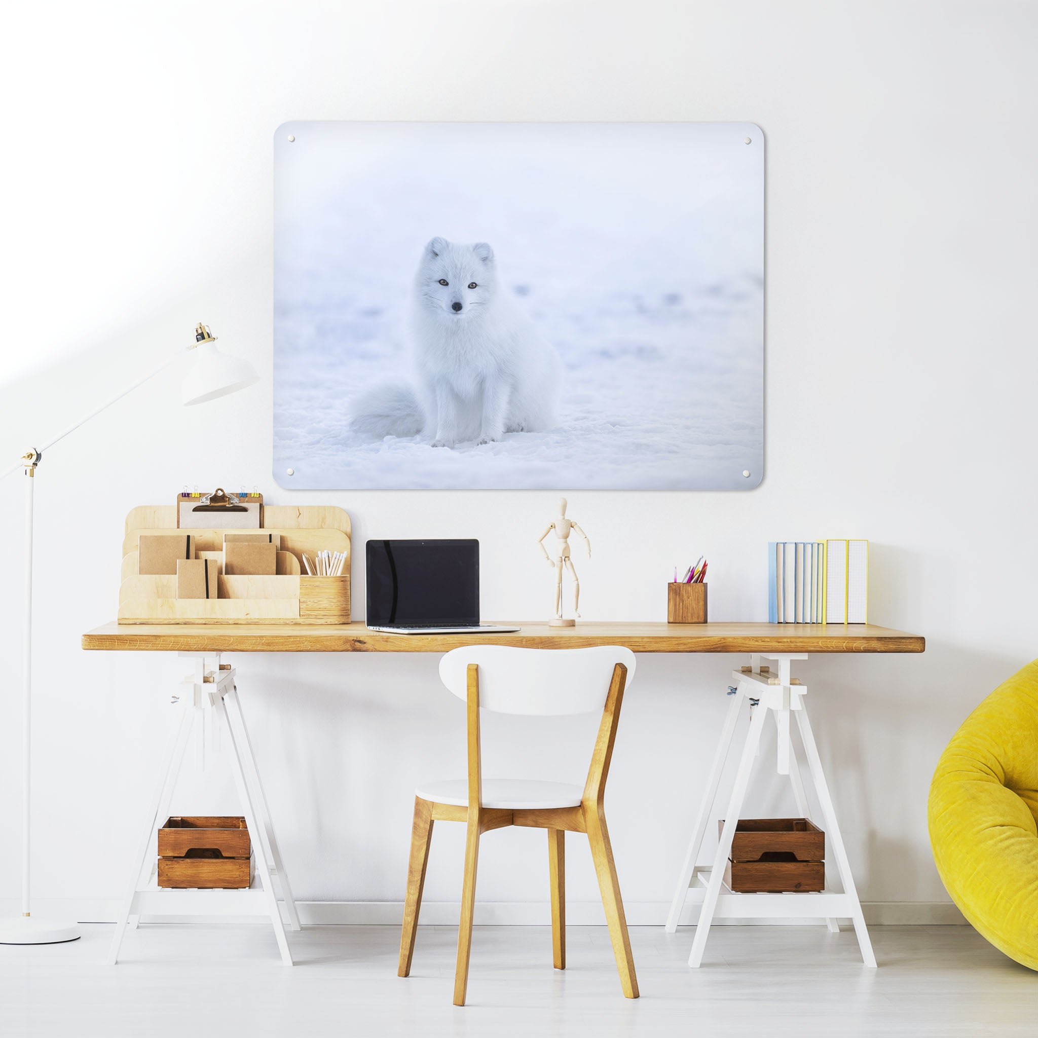 A desk in a workspace setting in a white interior with a magnetic metal wall art panel showing a photograph of an artic fox in the snow