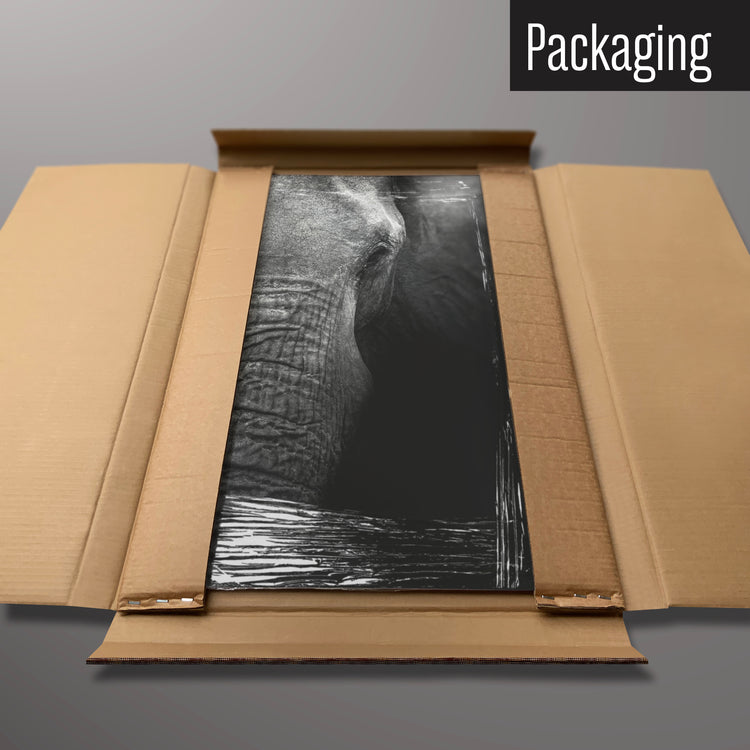 An elephant face magnetic board in it’s cardboard packaging