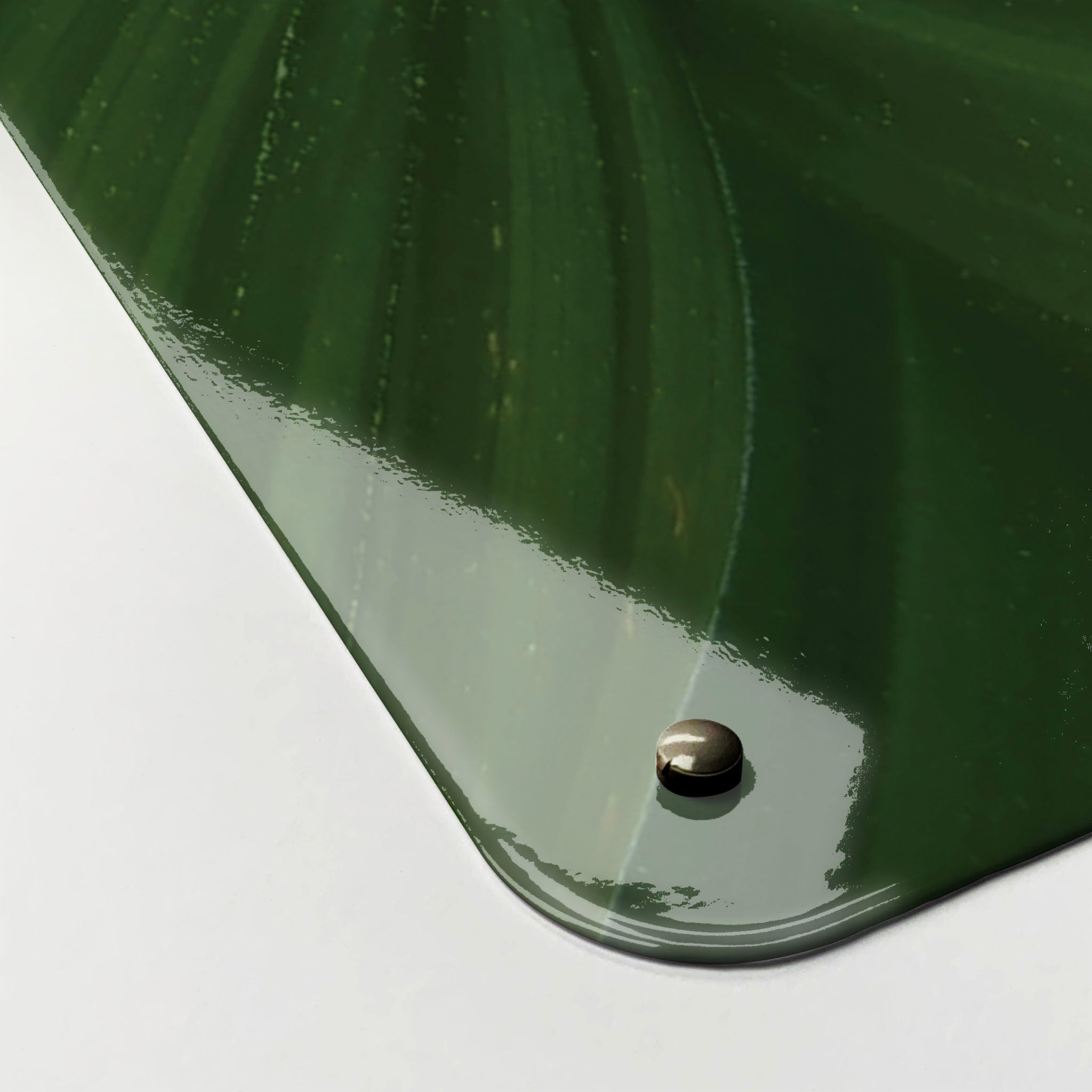 The corner detail of a green leaves photographic magnetic board to show it’s high gloss surface
