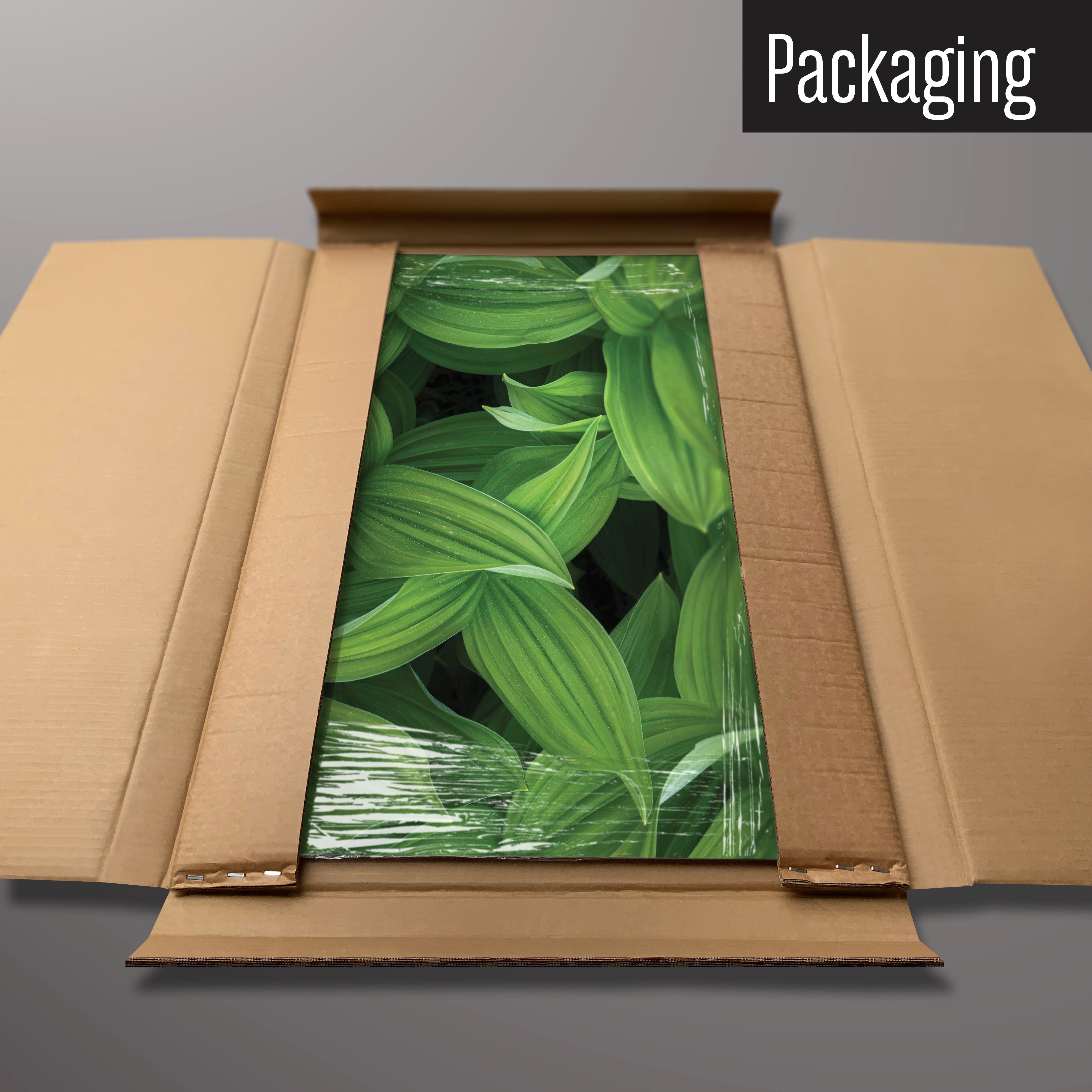 A green leaves photographic magnetic board in it’s cardboard packaging