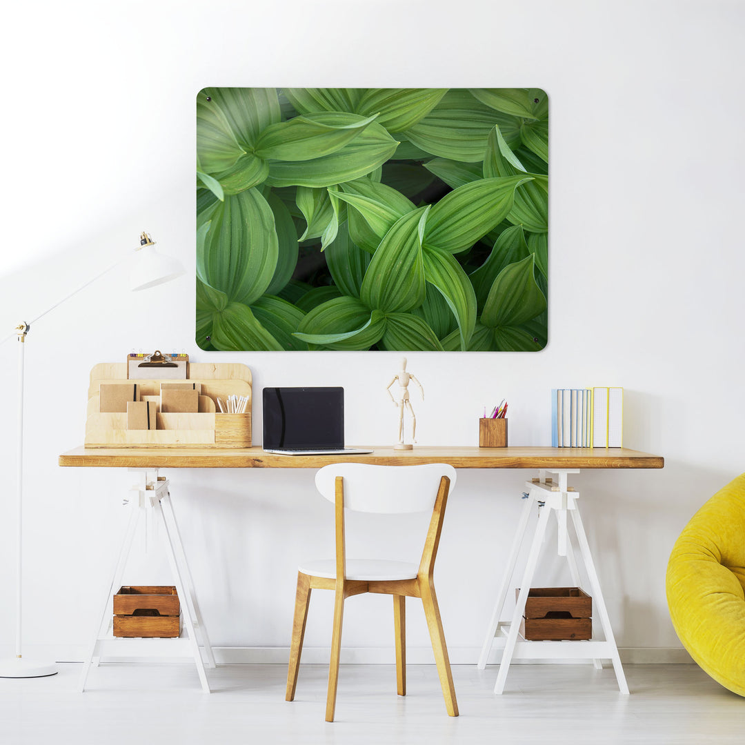 A desk in a workspace setting in a white interior with a magnetic metal wall art panel with a photographic image of green leaves