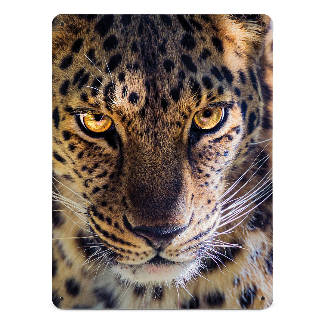 A large magnetic notice board by Beyond the Fridge with a photograph of the face of a leopard in dappled sunlight