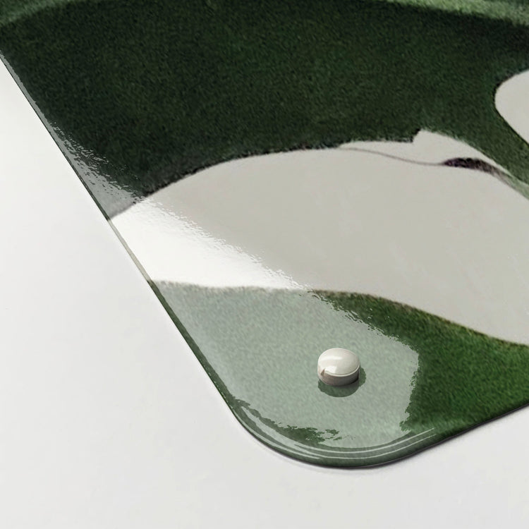 The corner detail of a Monstera plant photographic magnetic board to show it’s high gloss surface
