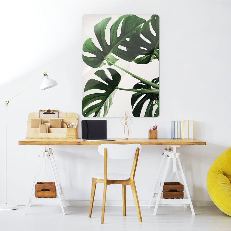 A desk in a workspace setting in a white interior with a magnetic metal wall art panel showing a photograph of a Monstera or Swiss cheese plant on a white background