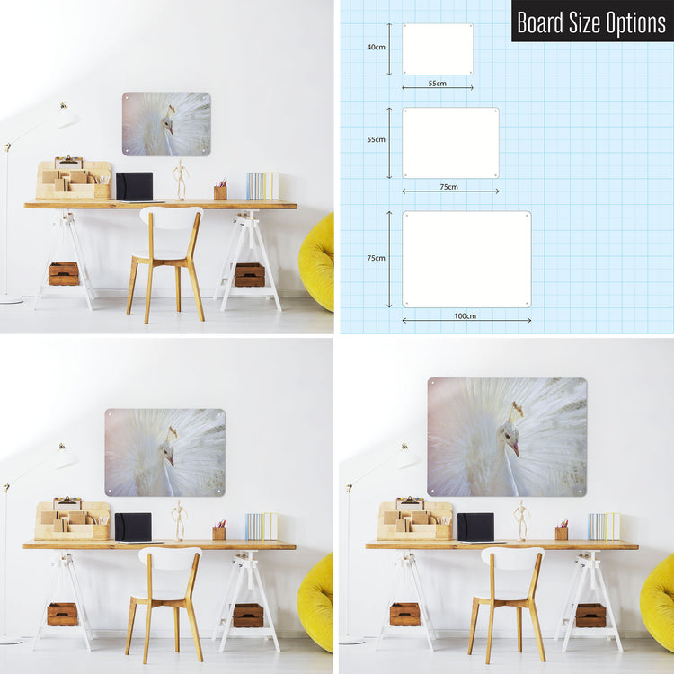 Three photographs of a workspace interior and a diagram to show size comparisons of a white peacock photographic magnetic notice board