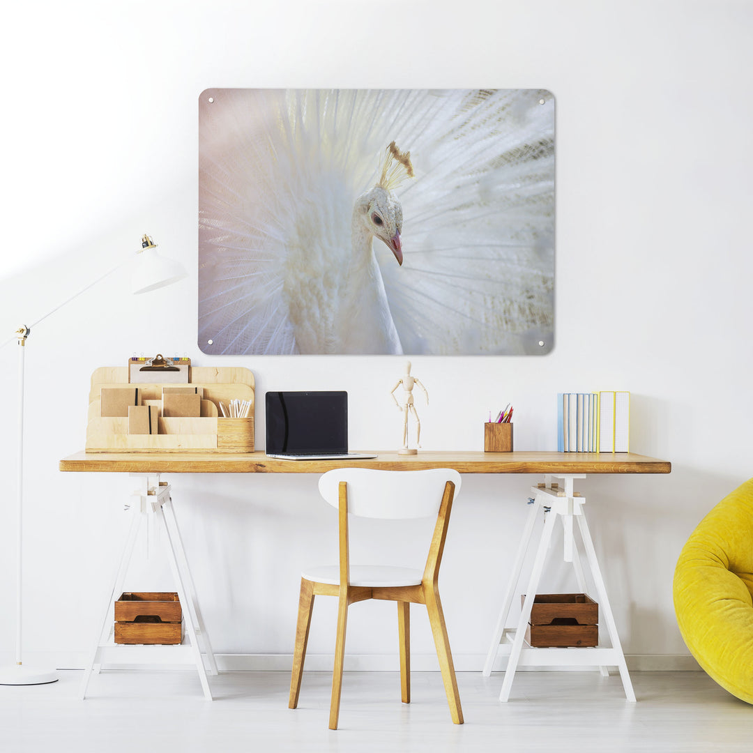 A desk in a workspace setting in a white interior with a magnetic metal wall art panel showing a photograph of a white peacock