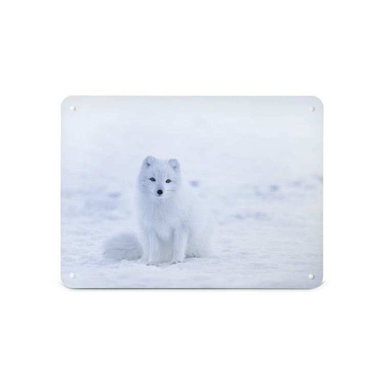 A medium magnetic notice board by Beyond the Fridge with a photograph of an artic fox in the snow